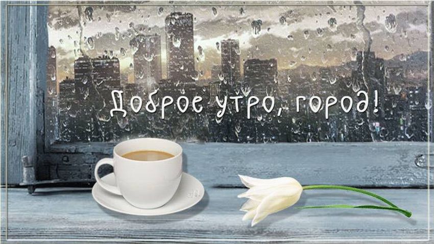 Доброе утро