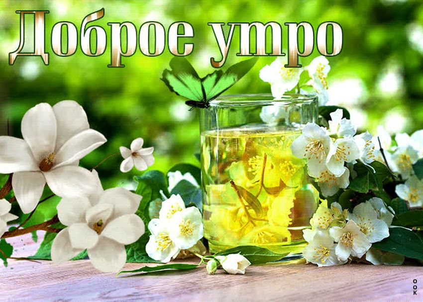 Открытки доброе утро