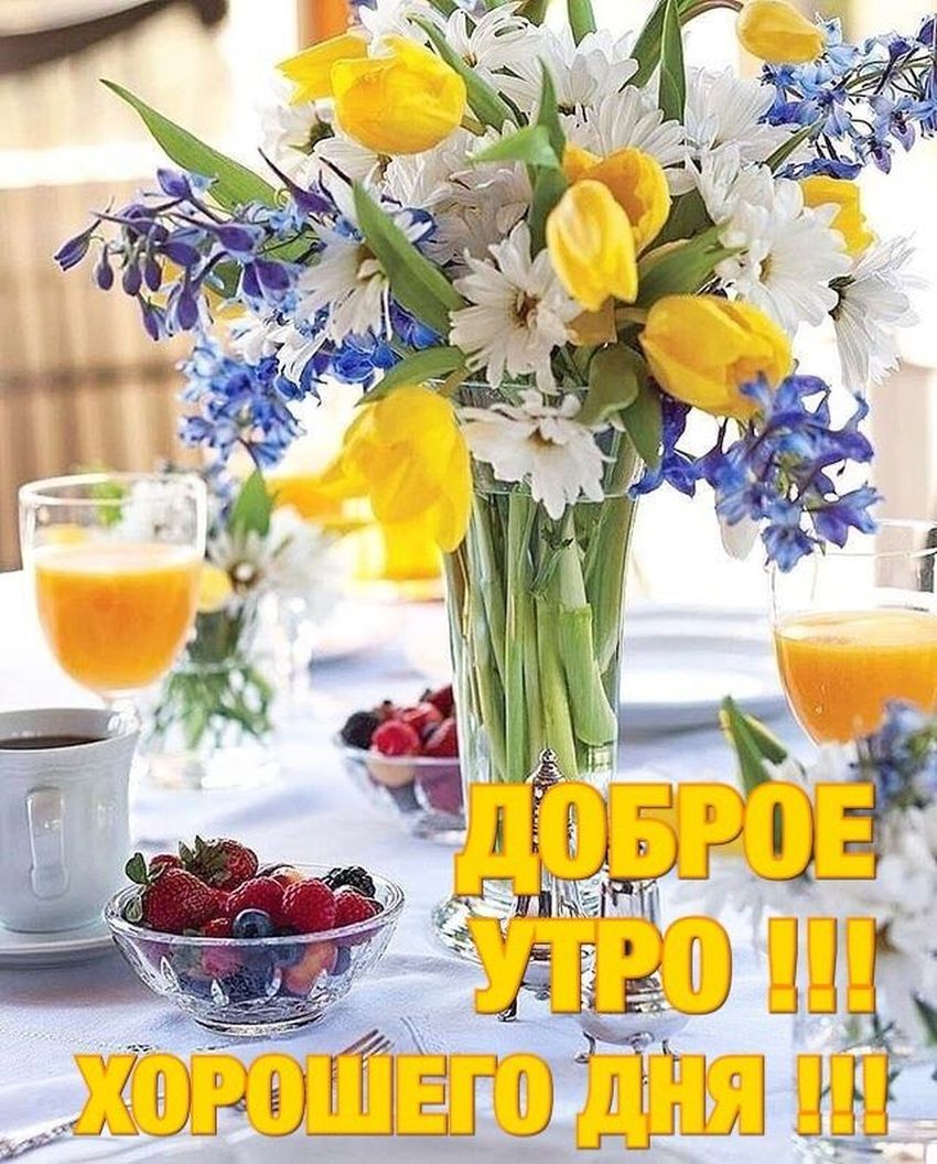 Доброе летнее утро