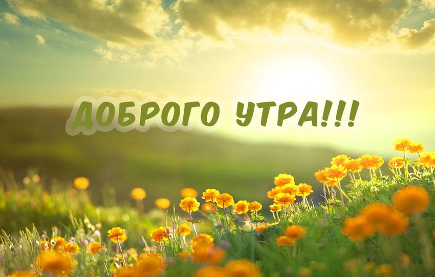 Доброе утро летнее