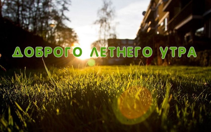 Доброе утро лето