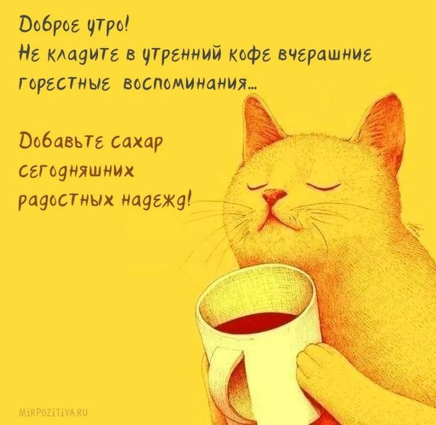 Котик с чашкой чая