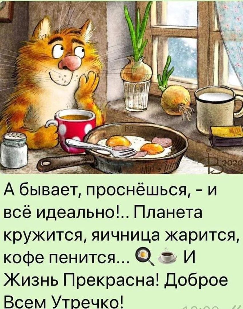 Доброе утро смешные