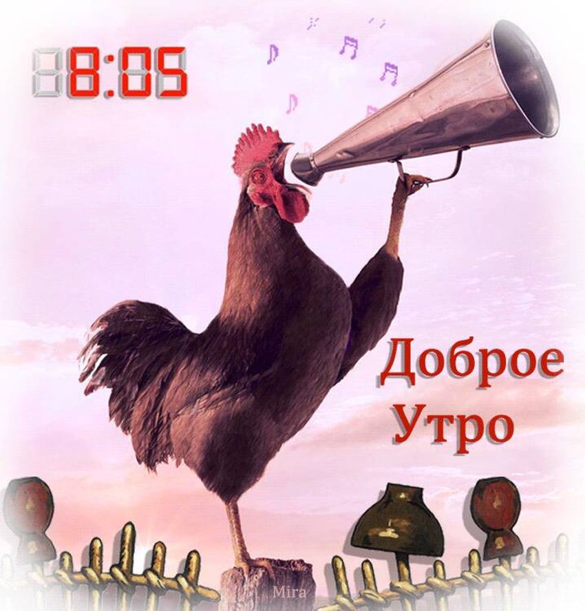 Открытки доброе утро