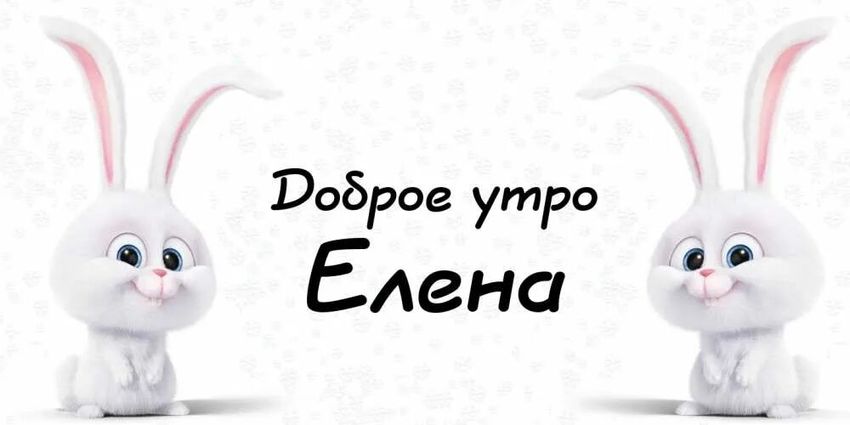 Доброе утро зайки