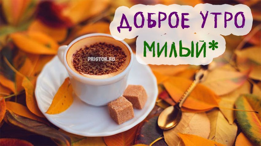 Доброе утро мужчине