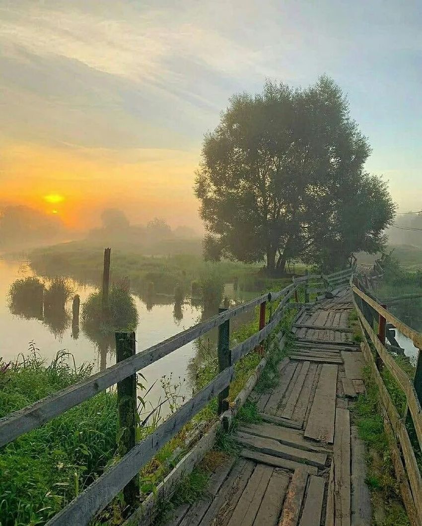 Летнее утро в деревне