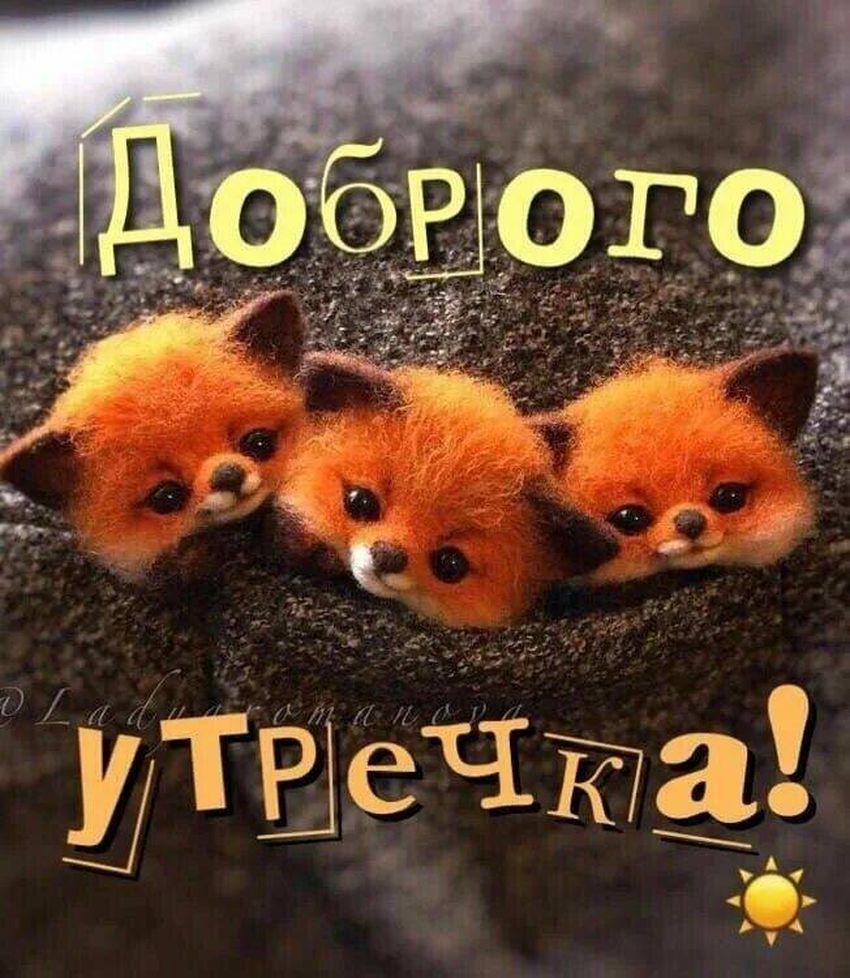 Доброе утро зверюшки