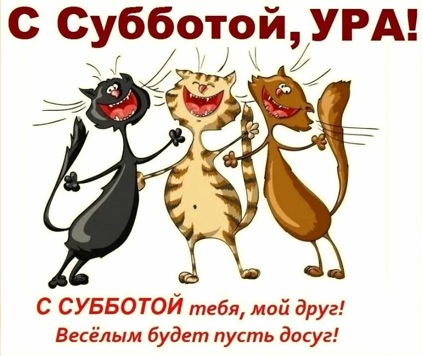 Вот и суббота