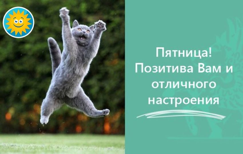 Позитивной пятницы