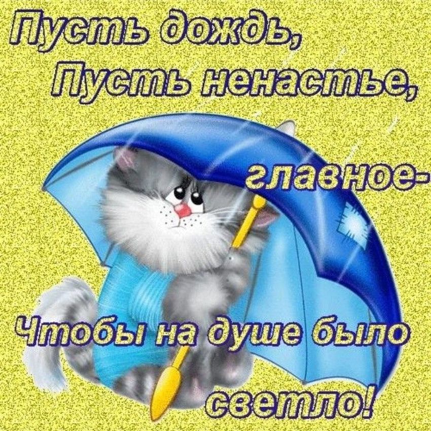 Котик под зонтиком