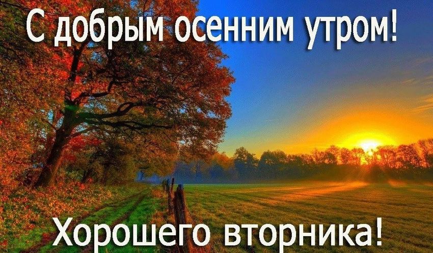 Доброго осеннего утра вторни к а