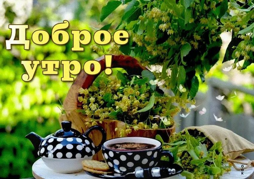 Доброе летнее утро