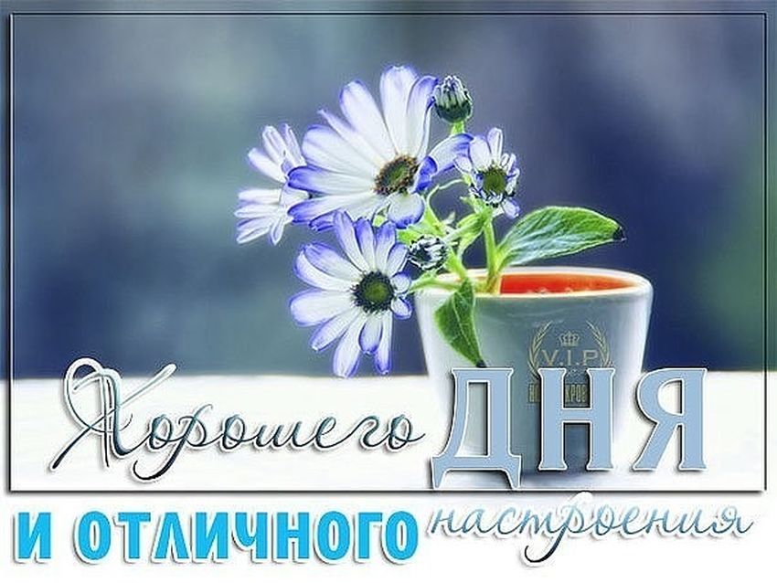 Доброе утро