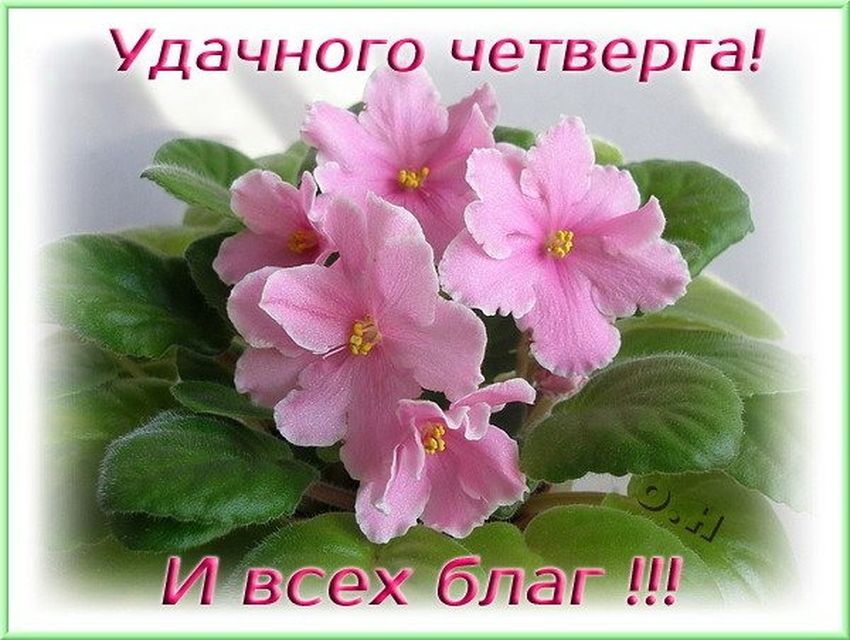 Открытки удачного четверга