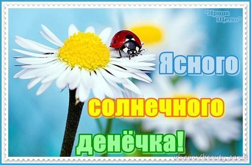 Солнечного дня и отличного настроения