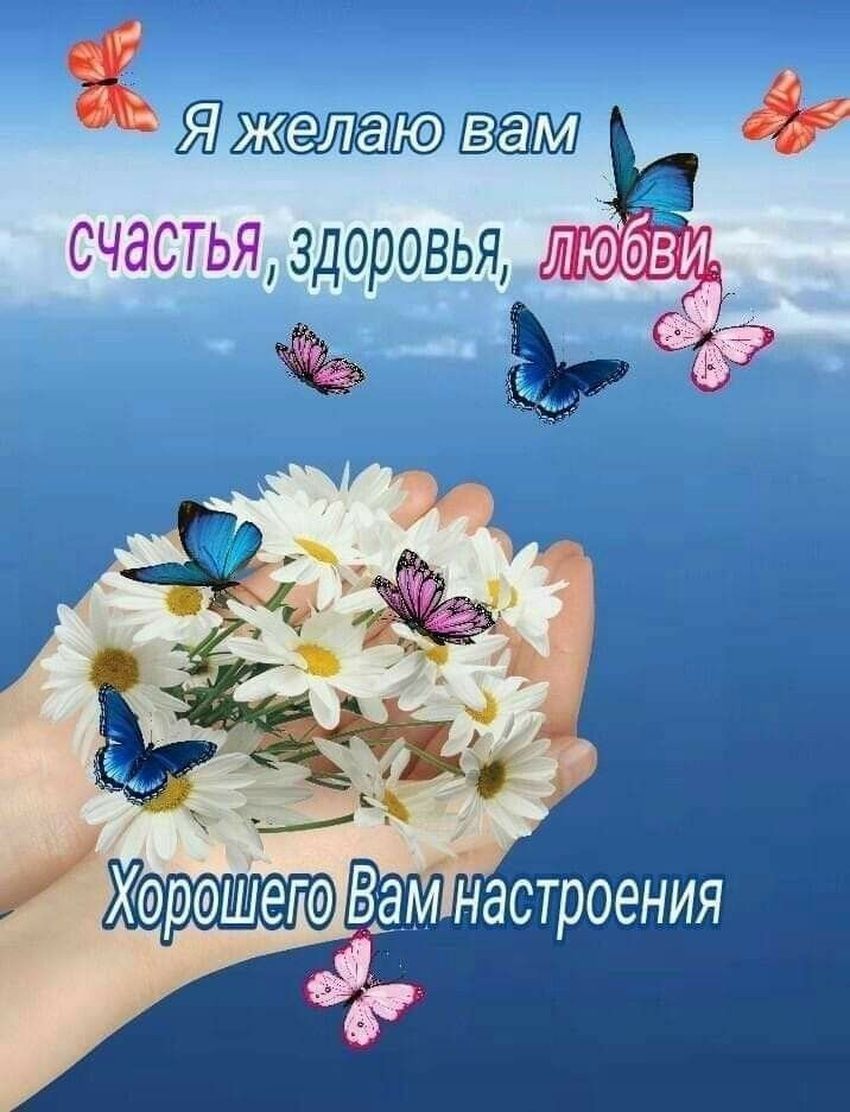 Счастья здоровья