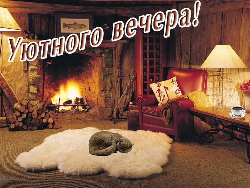 Тёплого уютного вечера