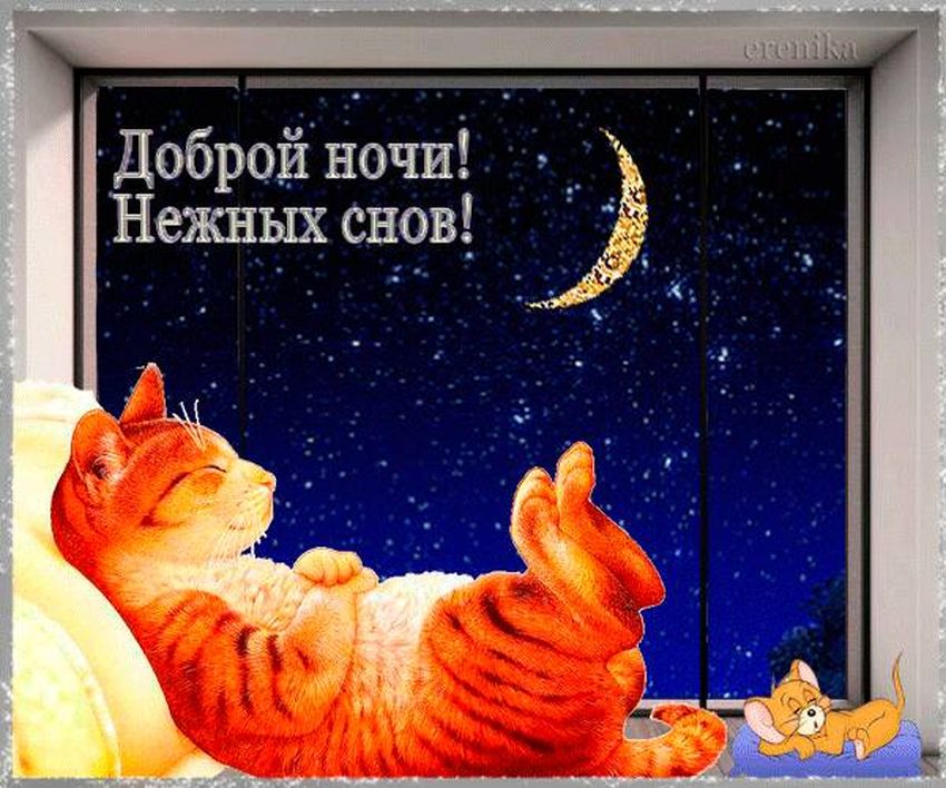 Доброй ночи нежных снов