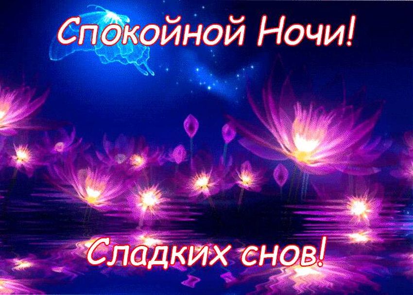 Ночь сладких снов