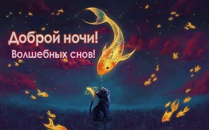 Ночь сладких снов