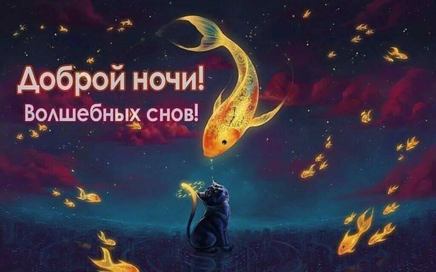 Доброй ночи