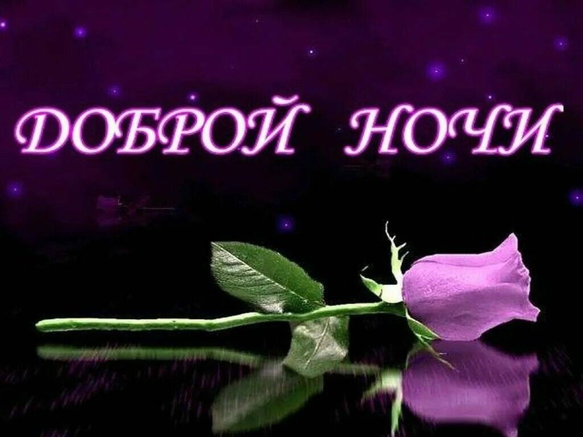 Пожелания спокойной ночи