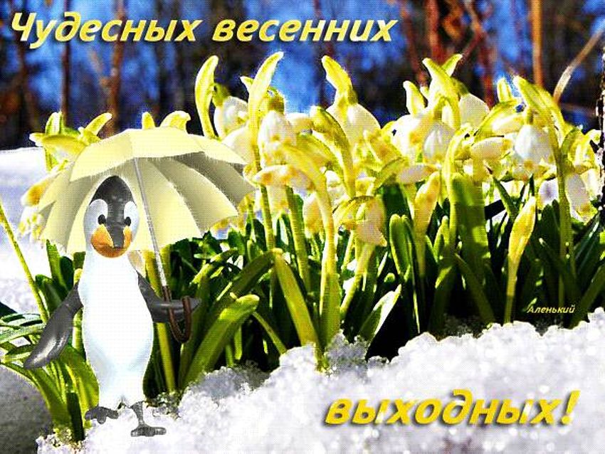 Последний день весны