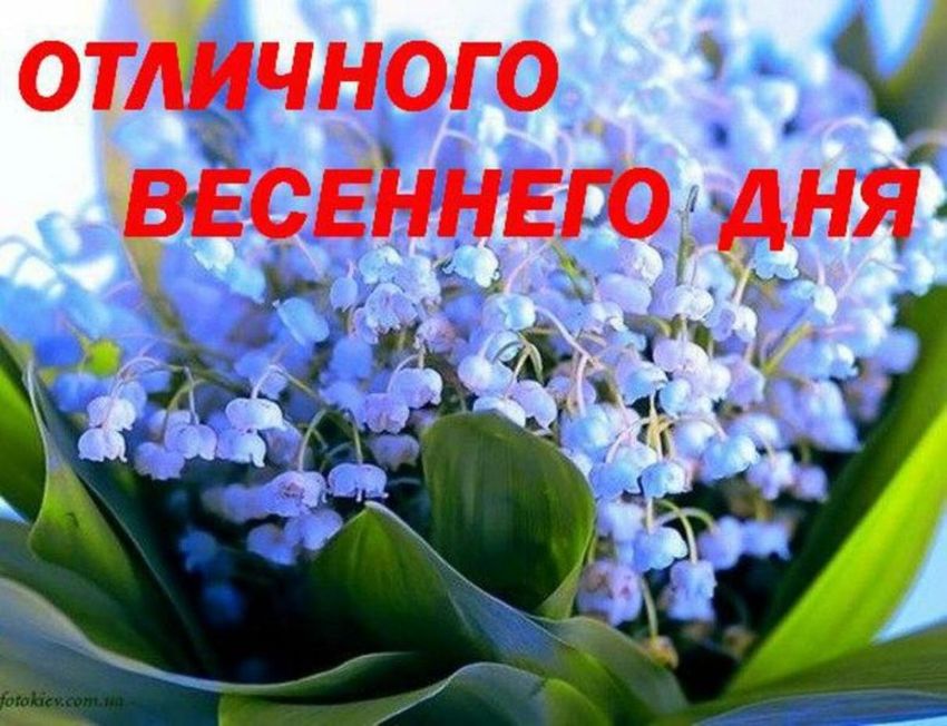 Открытки с добрым утром весенние