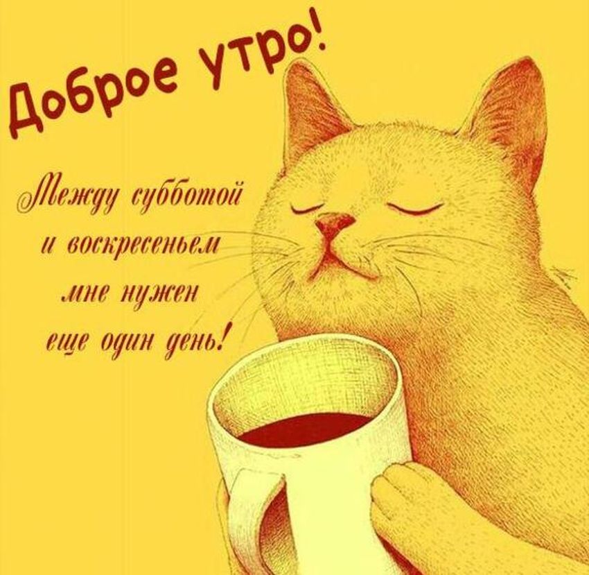 Утро субботы