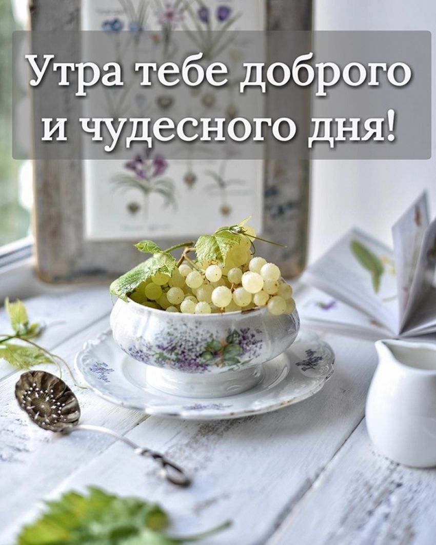 Доброе утро пожелания