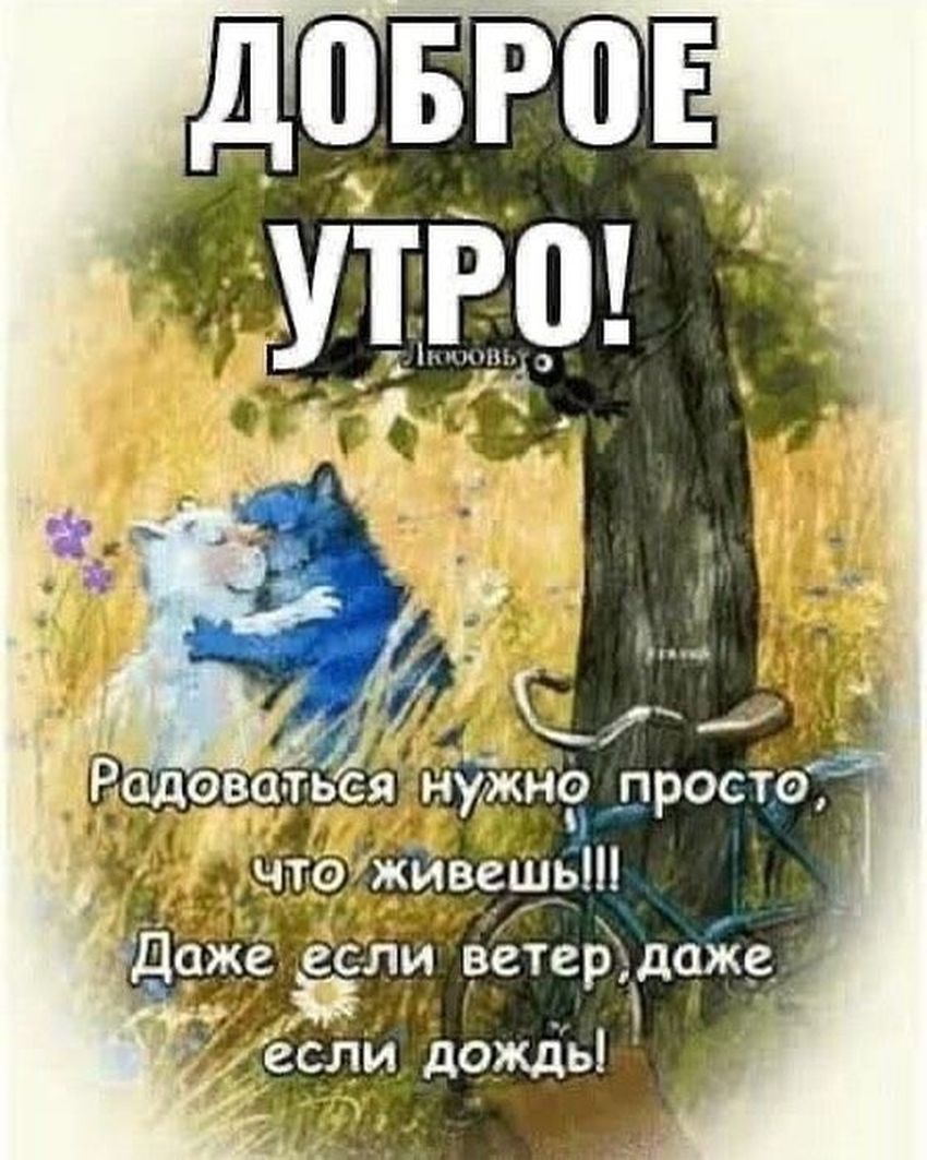 Доброе утро смешные