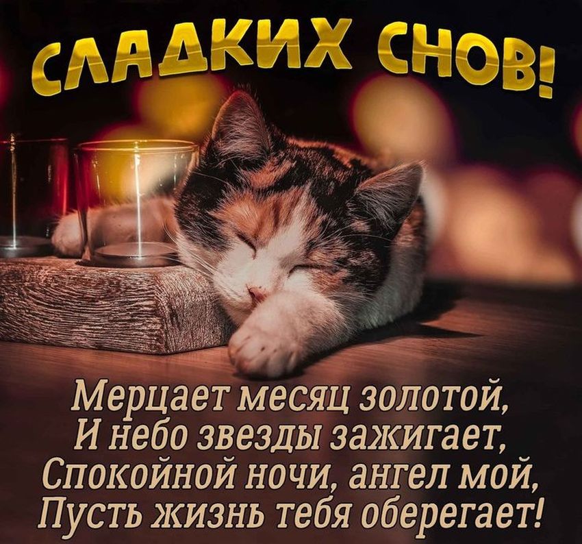 Спокойной ночи сладких снов