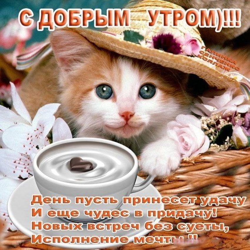 Открытки с добрым утром