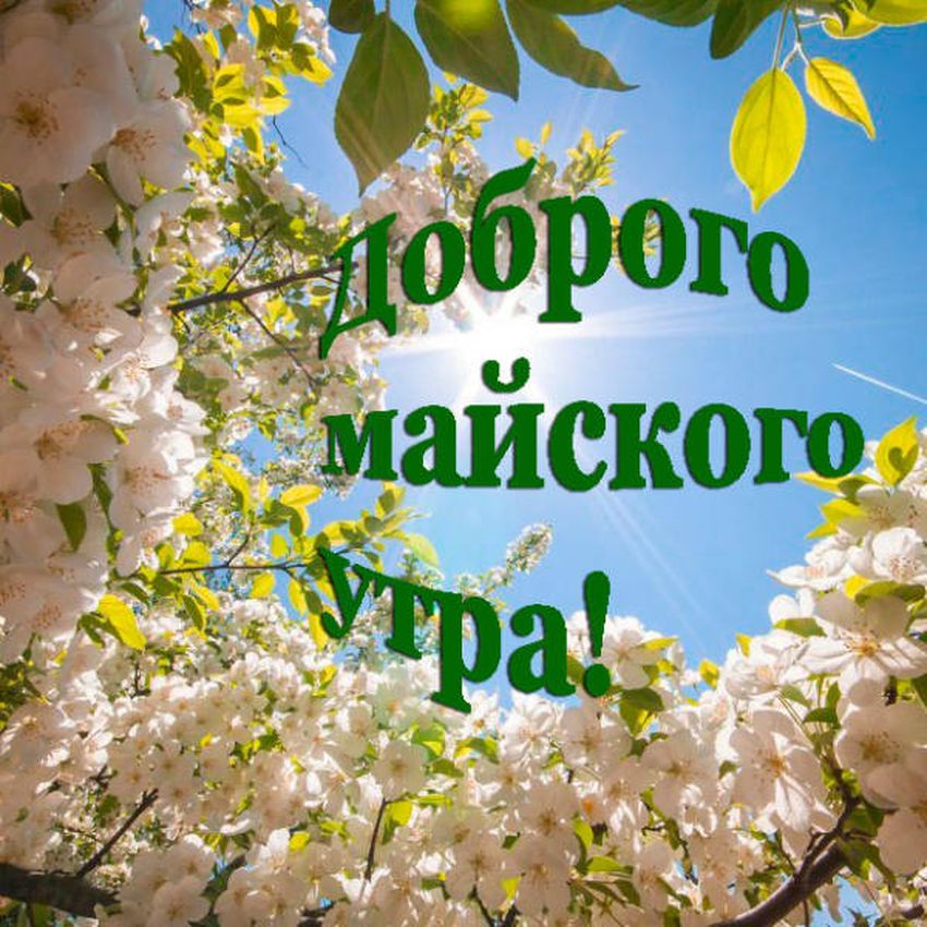 С добрым майским утром