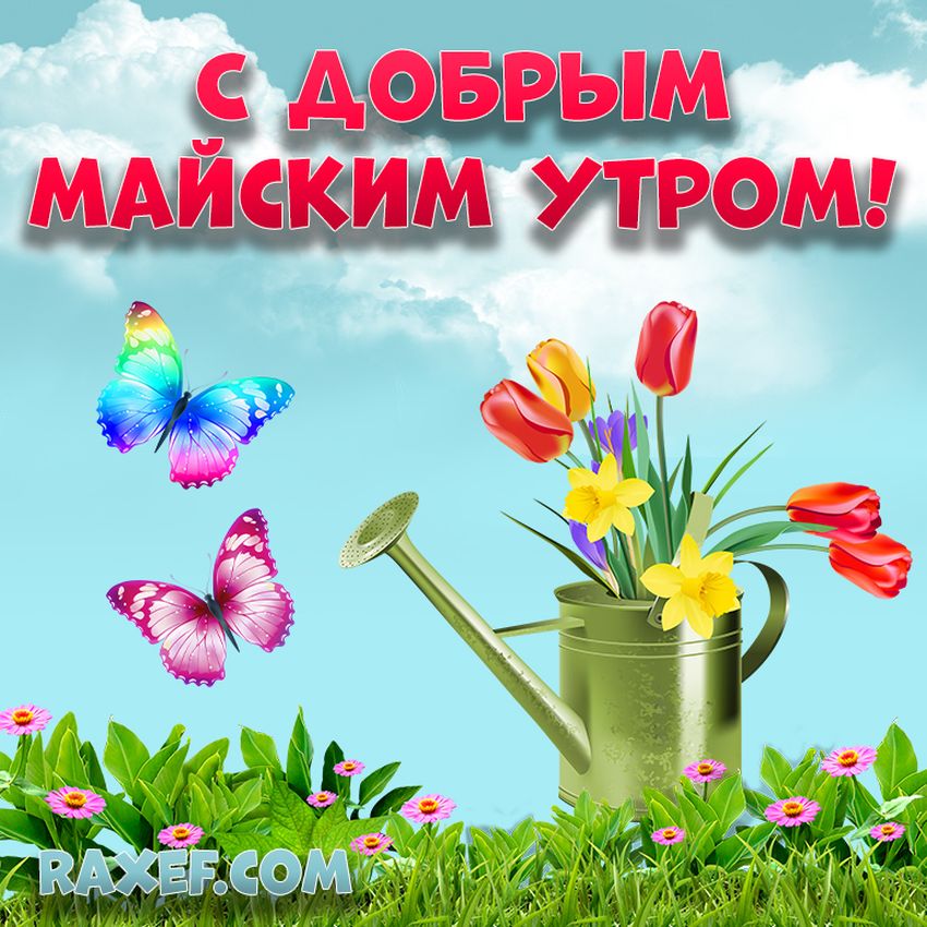 Доброе утро 1 мая