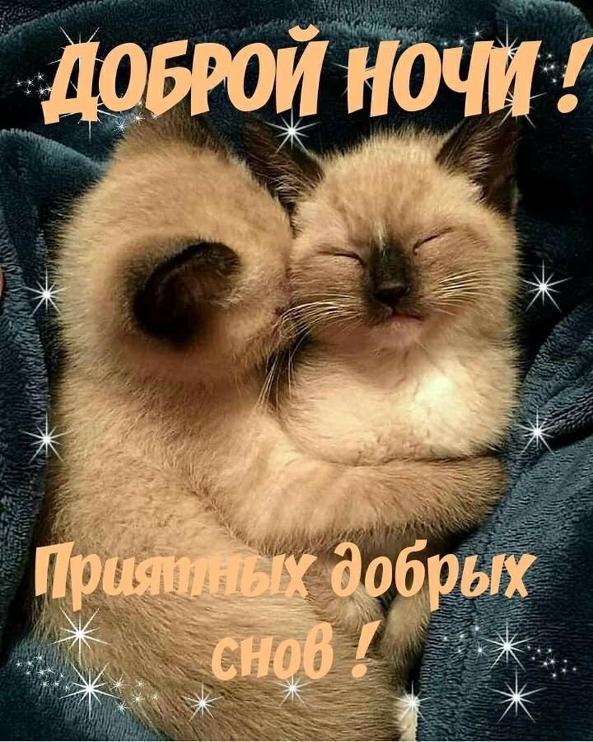 Доброй ночи