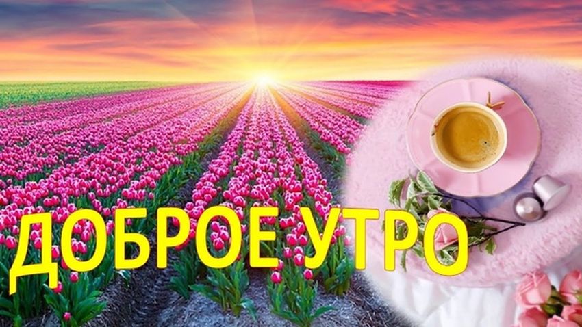 Доброе утро открытка