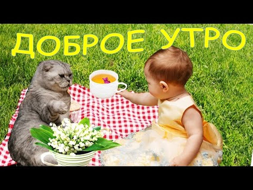 С добрым утром