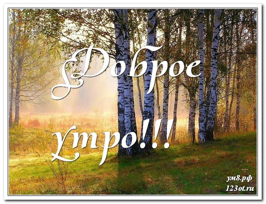 Природа доброе утро