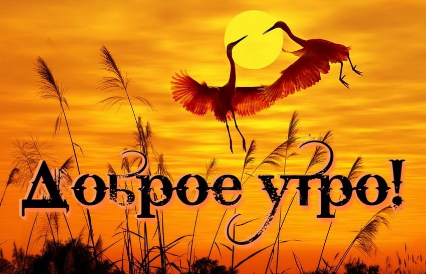 Счастье доброе утро