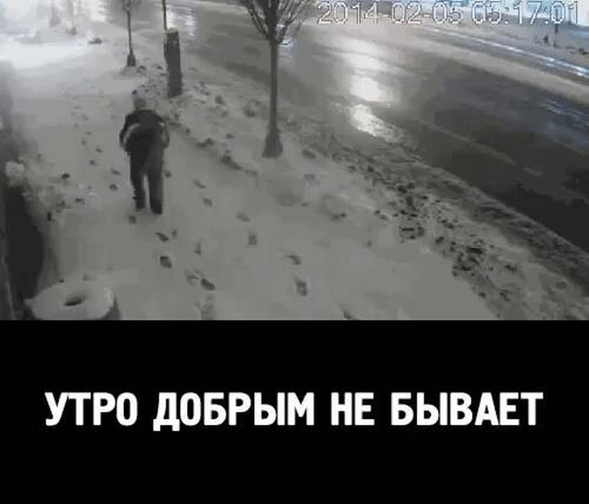 Прикольное утро