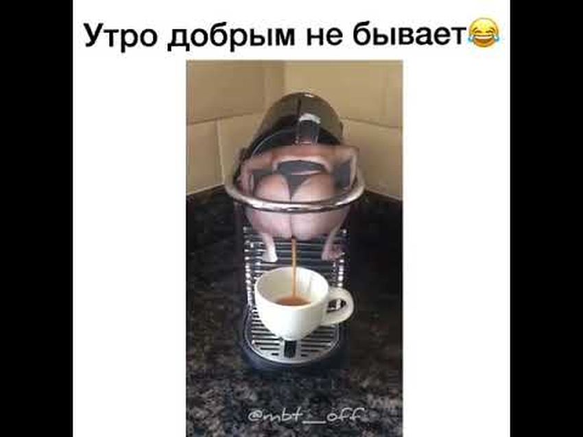 Прикольное утро